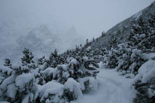 Szlak na Szpiglasową Przełęcz zimą (fot. Bartosz Twarowski)  » Click to zoom ->