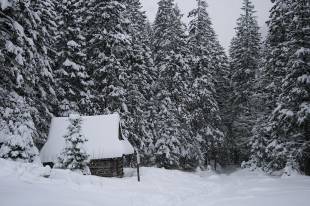 Dolina Roztoki zimą (Fot. Bartosz Twarowski)  » Click to zoom ->