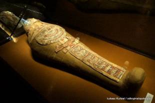Wystawa Bogowie starożytnego Egiptu  » Click to zoom ->