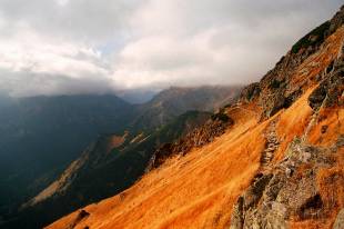 Goryczkowe Czuby w Tatrach  » Click to zoom ->